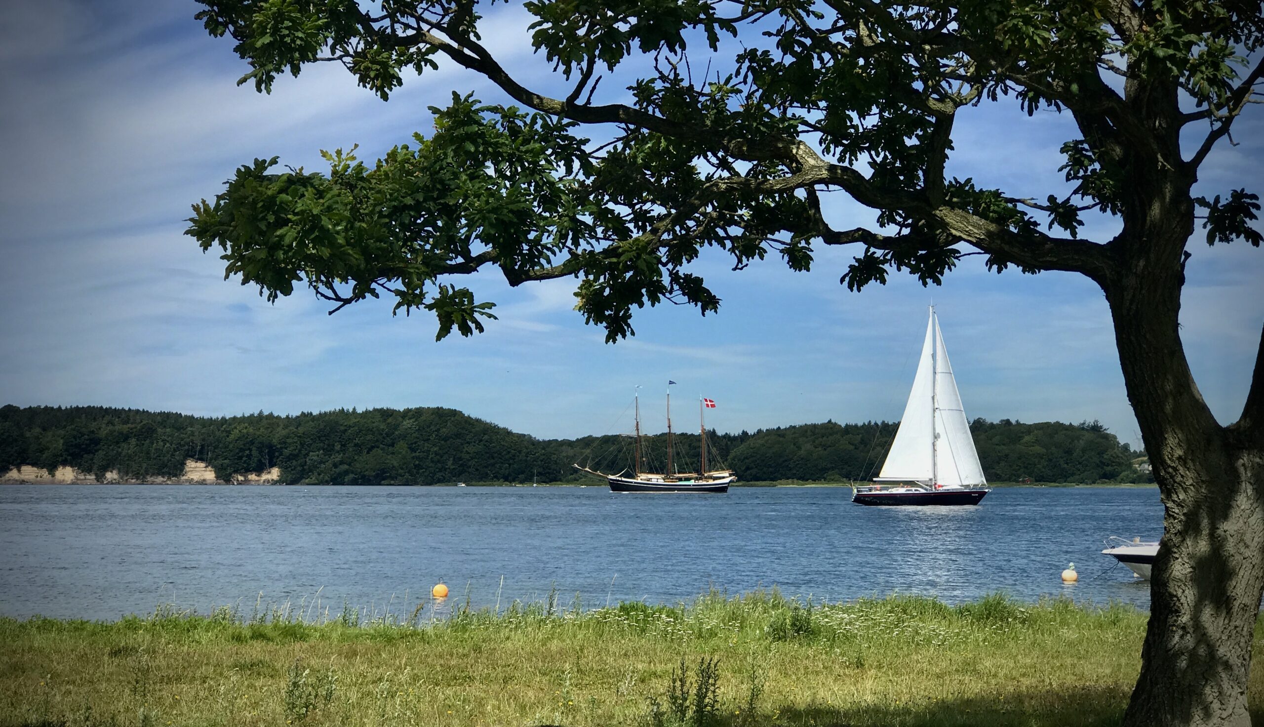 Lillebælt - foto: Lars Lindskov