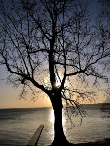 Lillebælt - foto: Lars Lindskov