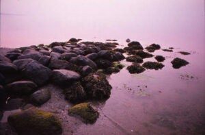 Strand ved Fredericia