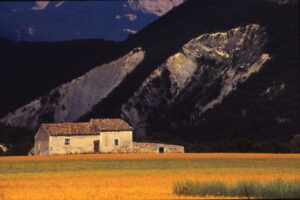 Provence foto: Lars Lindskov